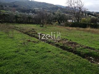 Οικόπεδο 992 τ.μ. για πώληση