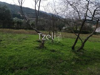 Οικόπεδο 992 τ.μ. για πώληση, Αχαΐα, Ρίο-thumb-8