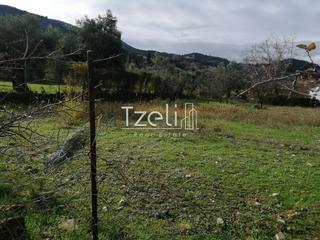 Οικόπεδο 992 τ.μ. για πώληση, Αχαΐα, Ρίο-thumb-15