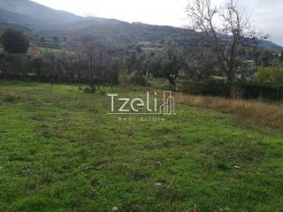 Οικόπεδο 992 τ.μ. για πώληση, Αχαΐα, Ρίο-thumb-16