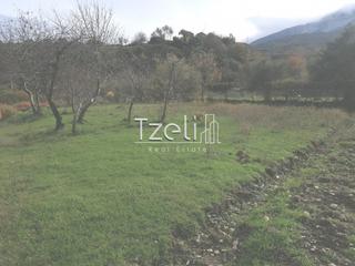 Οικόπεδο 992 τ.μ. για πώληση, Αχαΐα, Ρίο-thumb-19