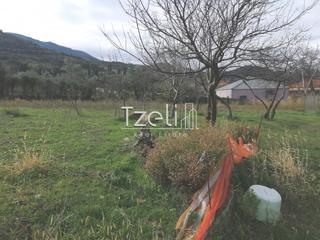 Οικόπεδο 992 τ.μ. για πώληση, Αχαΐα, Ρίο-thumb-23