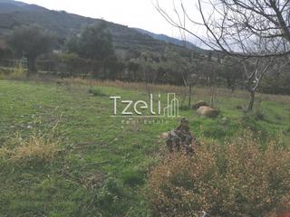 Οικόπεδο 992 τ.μ. για πώληση, Αχαΐα, Ρίο-thumb-25