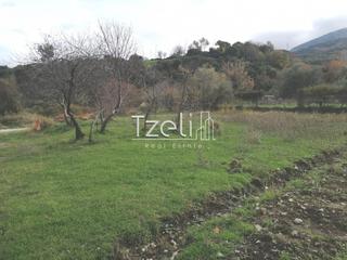 Οικόπεδο 992 τ.μ. για πώληση, Αχαΐα, Ρίο-thumb-28