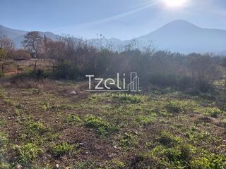 Οικόπεδο 196 τ.μ. για πώληση, Αχαΐα, Μεσσατίδα-thumb-3