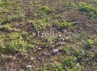 Οικόπεδο 196 τ.μ. για πώληση, Αχαΐα, Μεσσατίδα-thumb-4