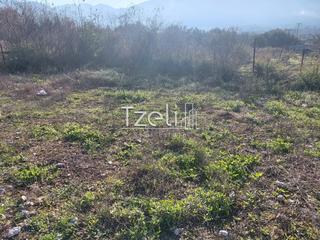 Οικόπεδο 196 τ.μ. για πώληση, Αχαΐα, Μεσσατίδα-thumb-7