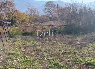 Οικόπεδο 196 τ.μ. για πώληση, Αχαΐα, Μεσσατίδα-thumb-8