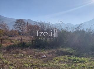 Οικόπεδο 196 τ.μ. για πώληση, Αχαΐα, Μεσσατίδα-thumb-9