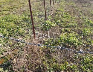 Οικόπεδο 196 τ.μ. για πώληση, Αχαΐα, Μεσσατίδα-thumb-10