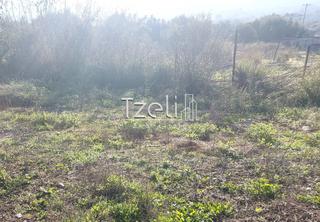 Οικόπεδο 196 τ.μ. για πώληση, Αχαΐα, Μεσσατίδα-thumb-12