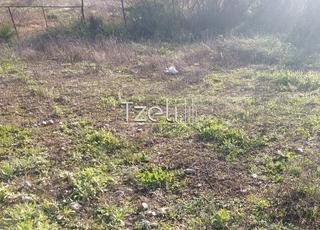 Οικόπεδο 196 τ.μ. για πώληση, Αχαΐα, Μεσσατίδα-thumb-13
