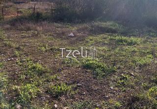 Οικόπεδο 196 τ.μ. για πώληση, Αχαΐα, Μεσσατίδα-thumb-14