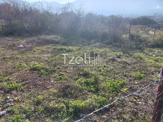Οικόπεδο 196 τ.μ. για πώληση, Αχαΐα, Μεσσατίδα-thumb-15