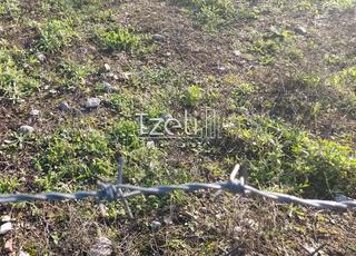 Οικόπεδο 196 τ.μ. για πώληση, Αχαΐα, Μεσσατίδα-thumb-16