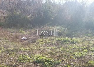 Οικόπεδο 196 τ.μ. για πώληση, Αχαΐα, Μεσσατίδα-thumb-17