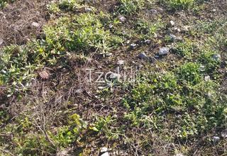 Οικόπεδο 196 τ.μ. για πώληση, Αχαΐα, Μεσσατίδα-thumb-18