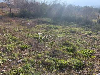 Οικόπεδο 196 τ.μ. για πώληση, Αχαΐα, Μεσσατίδα-thumb-19