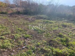 Οικόπεδο 196 τ.μ. για πώληση, Αχαΐα, Μεσσατίδα-thumb-21