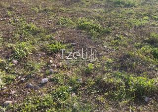 Οικόπεδο 196 τ.μ. για πώληση, Αχαΐα, Μεσσατίδα-thumb-24