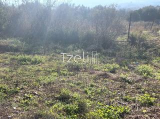 Οικόπεδο 196 τ.μ. για πώληση, Αχαΐα, Μεσσατίδα-thumb-29