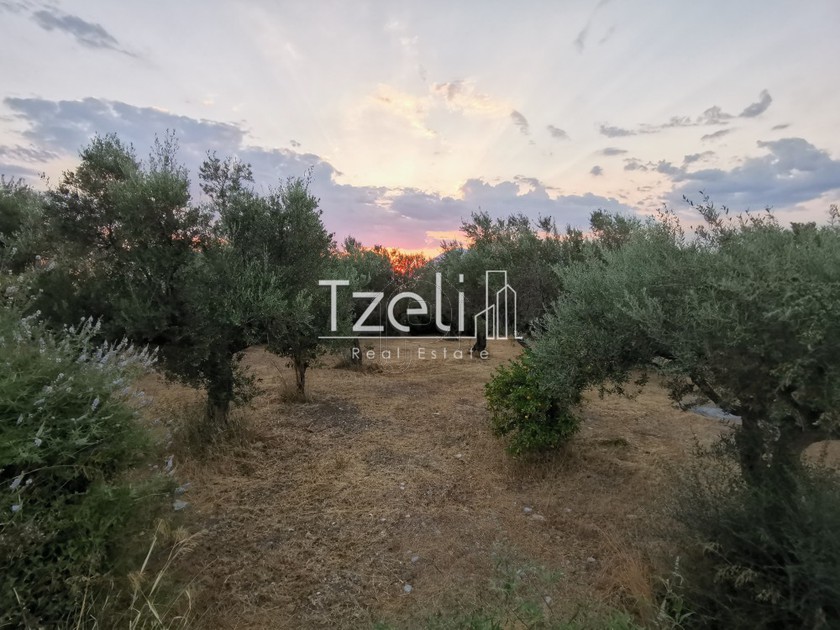 Οικόπεδο 3.882τ.μ. για πώληση-Πάτρα » Εγλυκάδα