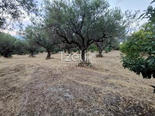 Οικόπεδο 3.882 τ.μ. για πώληση, Αχαΐα, Πάτρα-thumb-3