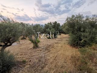 Οικόπεδο 3.882 τ.μ. για πώληση, Αχαΐα, Πάτρα-thumb-9