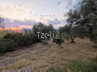 Οικόπεδο 3.882 τ.μ. για πώληση, Αχαΐα, Πάτρα-thumb-12