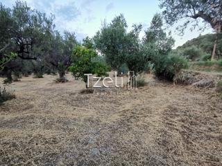 Οικόπεδο 3.882 τ.μ. για πώληση, Αχαΐα, Πάτρα-thumb-19