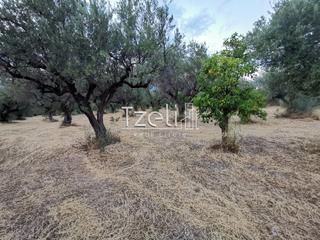 Οικόπεδο 3.882 τ.μ. για πώληση, Αχαΐα, Πάτρα-thumb-20