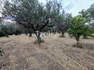 Οικόπεδο 3.882 τ.μ. για πώληση, Αχαΐα, Πάτρα-thumb-22