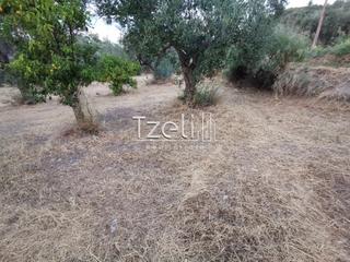Οικόπεδο 3.882 τ.μ. για πώληση, Αχαΐα, Πάτρα-thumb-24