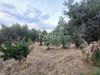 Οικόπεδο 3.882 τ.μ. για πώληση, Αχαΐα, Πάτρα-thumb-27