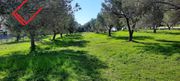 Parcel 5.140sqm for sale-Anavissos » Mavro Lithari