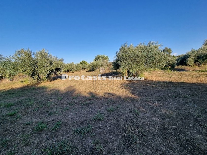 Αγροτεμάχια 3.150τ.μ. για πώληση-Ωρεοί » Ταξιάρχης
