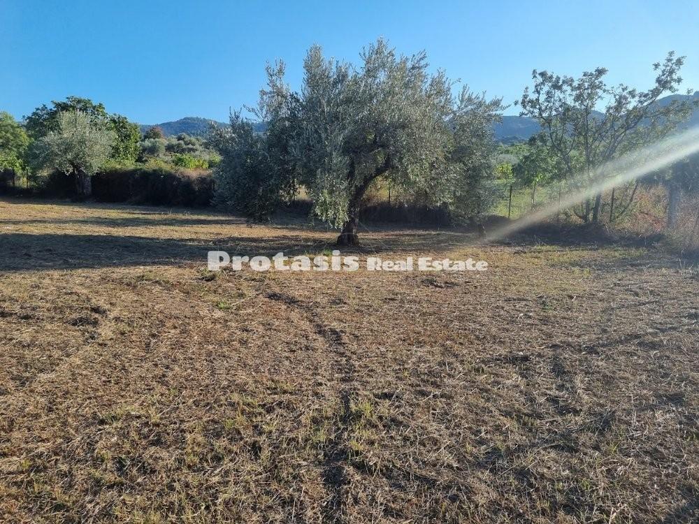Αγροτεμάχια 3.150 τ.μ. προς πώληση, Ταξιάρχης Ωρεών