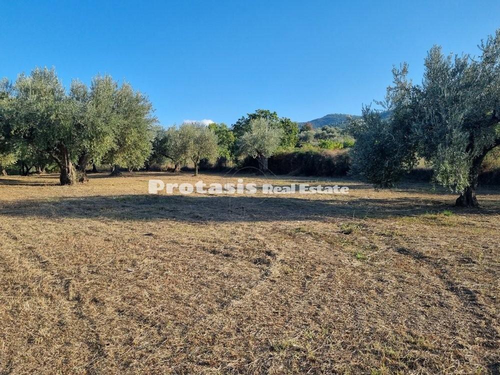 Αγροτεμάχια 3.150 τ.μ. προς πώληση, Ταξιάρχης Ωρεών