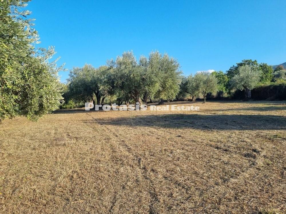 Αγροτεμάχια 3.150 τ.μ. προς πώληση, Ταξιάρχης Ωρεών