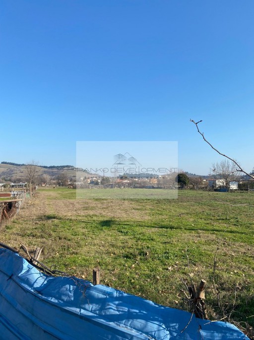 Αγροτεμάχια 2.554 τ.μ. για πώληση