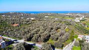 Οικόπεδο 4.783τ.μ. για πώληση-Αρκάδι » Άδελε