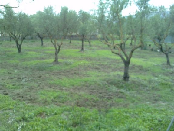 Οικόπεδο 400 τ.μ. για πώληση, Αχαΐα, Πάτρα