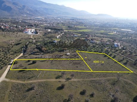 Parcel 4.000sqm for sale-Nea Ionia Volou » Melissatika