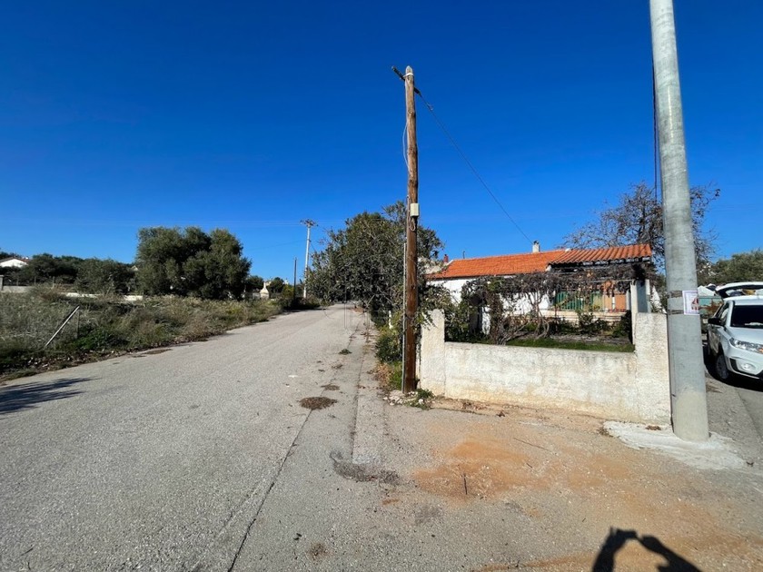 Μονοκατοικία 55τ.μ. για πώληση-Ωρωπός » Αγία αικατερίνη