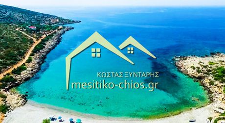 Οικόπεδο 4.205τ.μ. για πώληση-Χίος » Μαστιχοχώρια