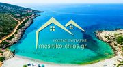 Land plot 4.205sqm for sale-Chios » Mastichochoria