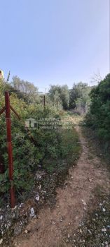 Οικόπεδο 500τ.μ. για πώληση-Νέα αγχίαλος » Κριθαριά