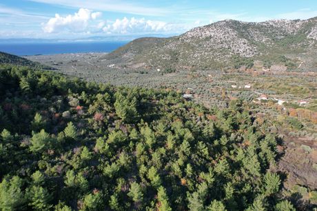 Αγροτεμάχια 21.050τ.μ. για πώληση-Θάσος » Ραχώνι