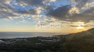 Land plot 4.300sqm for sale-Ierapetra » Ferma