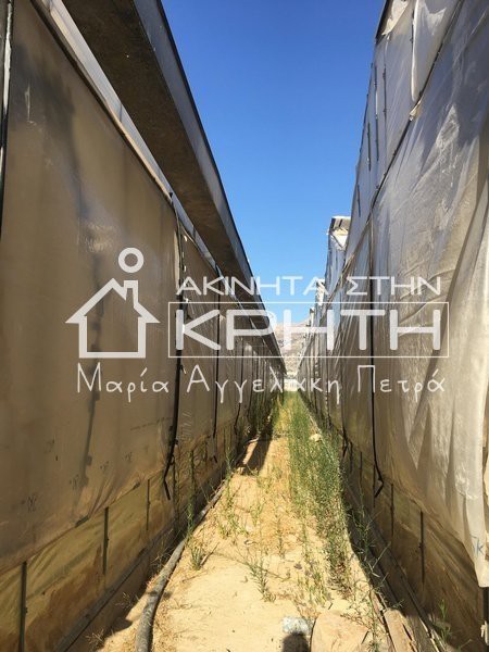 Land plot 20.000sqm for sale-Ierapetra » Kentri